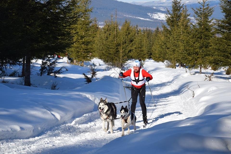 &bullet;  Fotó: Farkas Loránd