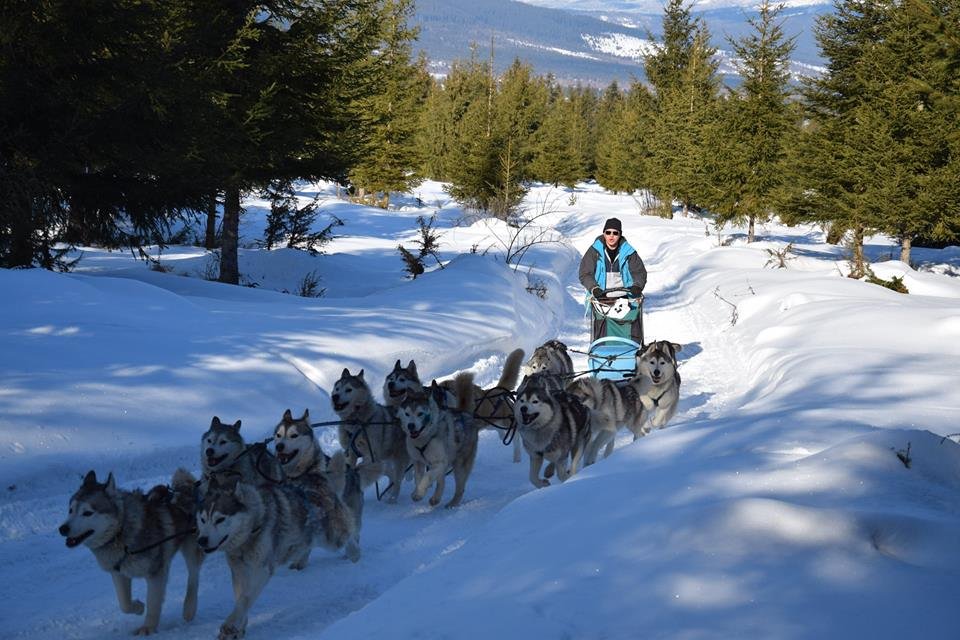 &bullet;  Fotó: Farkas Loránd