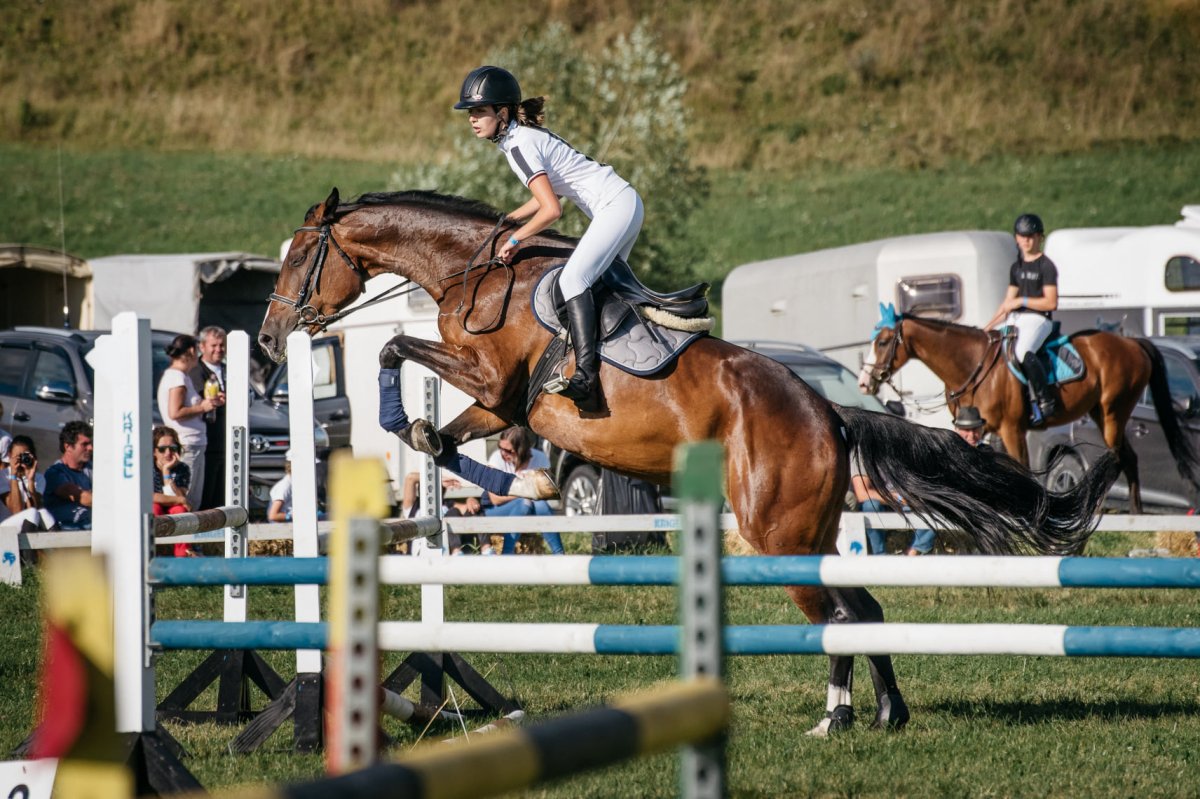 &bullet;  Fotó: Suciu Cristian/Székelyföldi Regionális Díjugrató Bajnokság