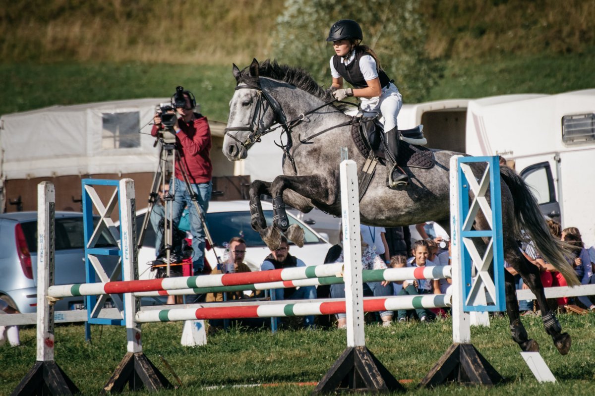 &bullet;  Fotó: Suciu Cristian/Székelyföldi Regionális Díjugrató Bajnokság