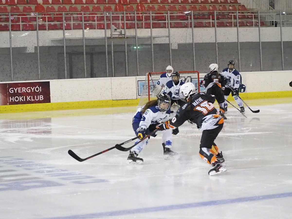 •  Fotó: Vaduva István/Fox Hockey