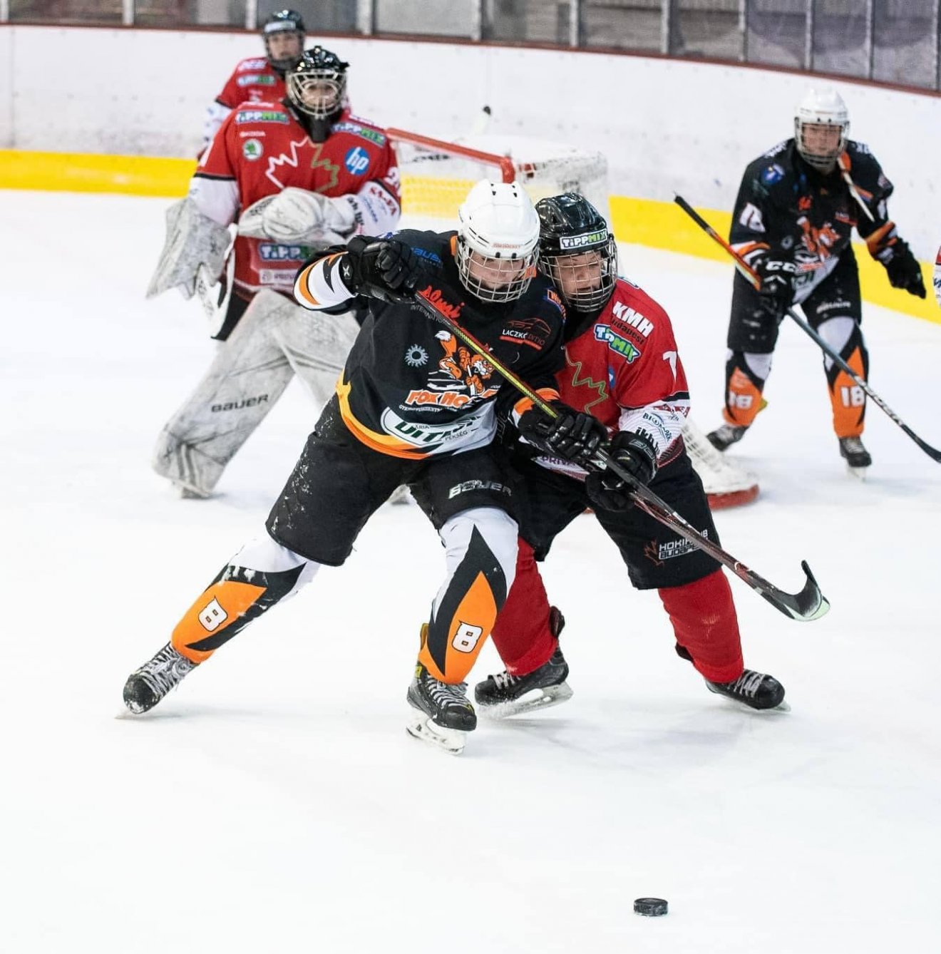 •  Fotó: Fox Hockey