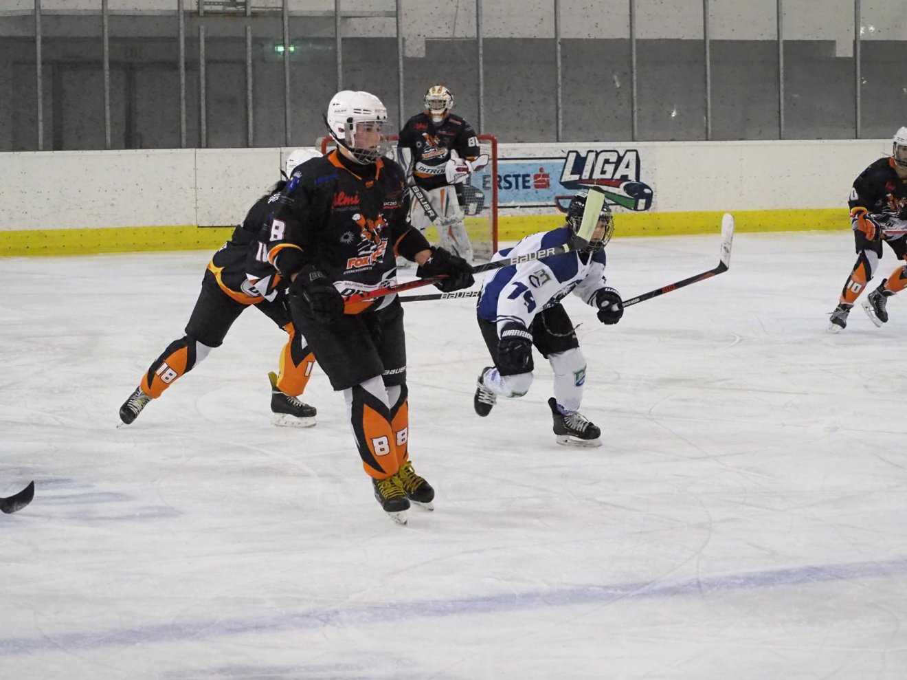 •  Fotó: Fox Hockey