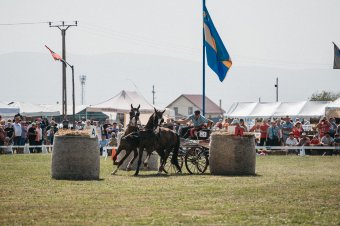 Egy hét múlva kezdődik a Székelyföldi Lovas Ünnep tizenhatodik kiadása