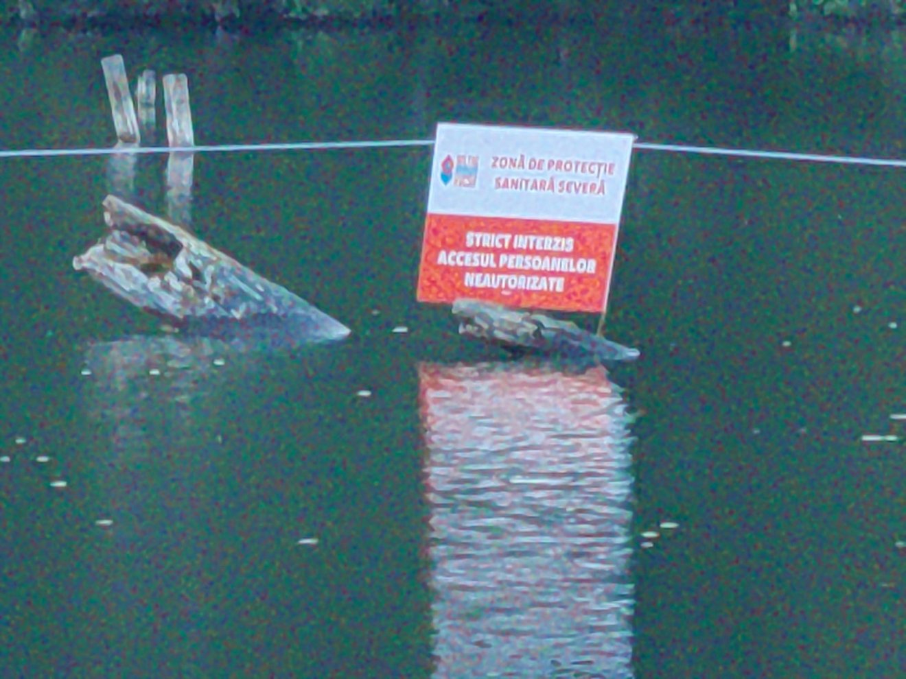 •  Fotó: Olvasónk felvétele