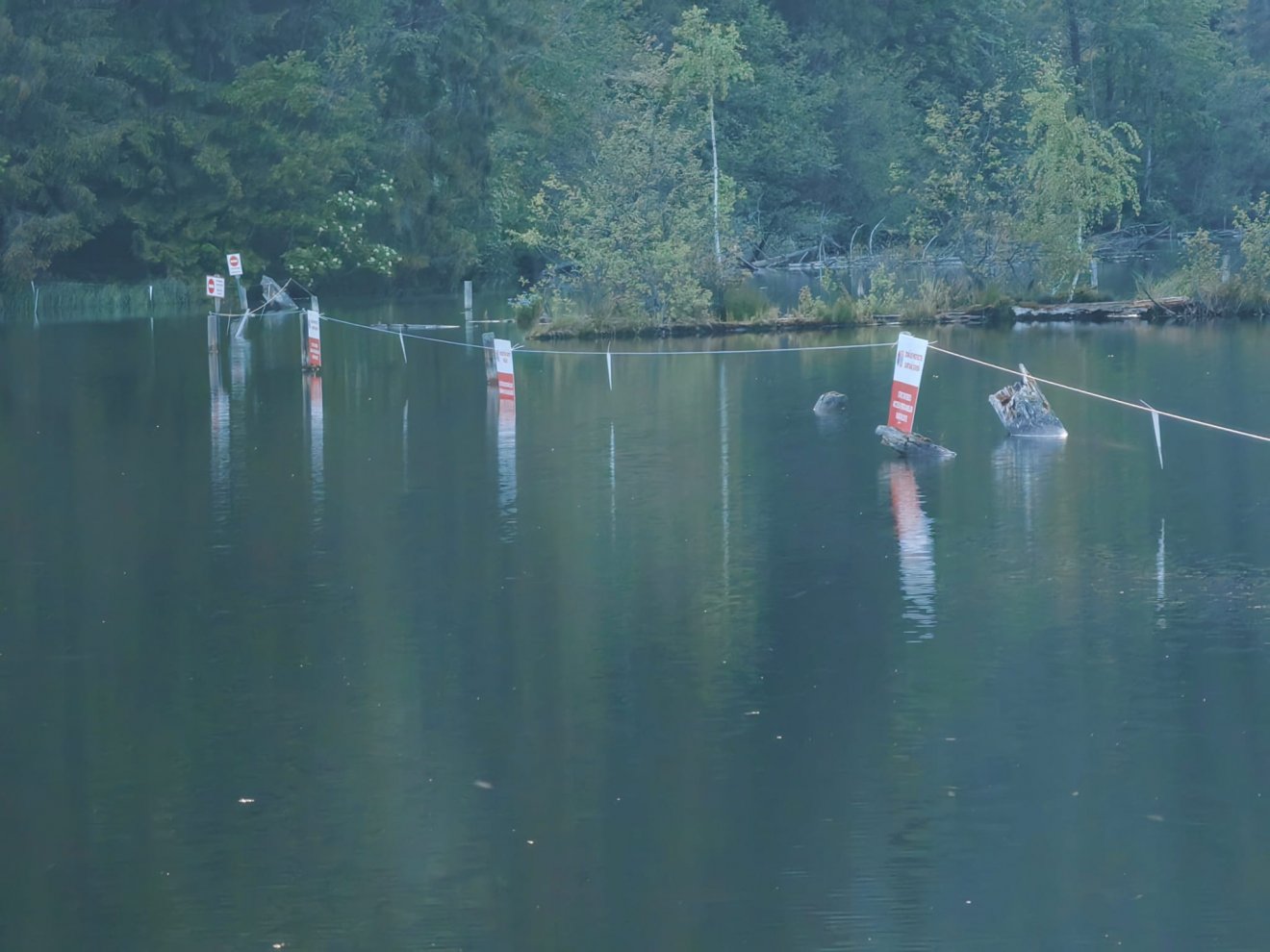 •  Fotó: Olvasónk felvétele