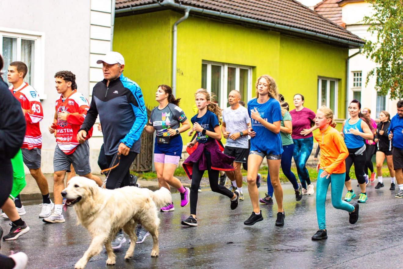&bullet;  Fotó: Bázis Központ