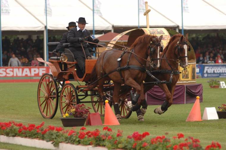 Fogathajtás: kialakult a válogatott keret