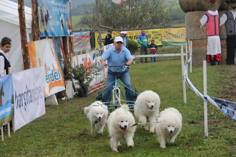 Díjözön a Gyergyói Lovas Napokon