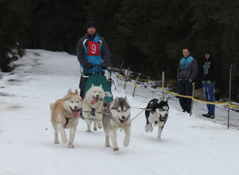 Kutyaszánhajtó verseny lesz Gyergyócsomafalván