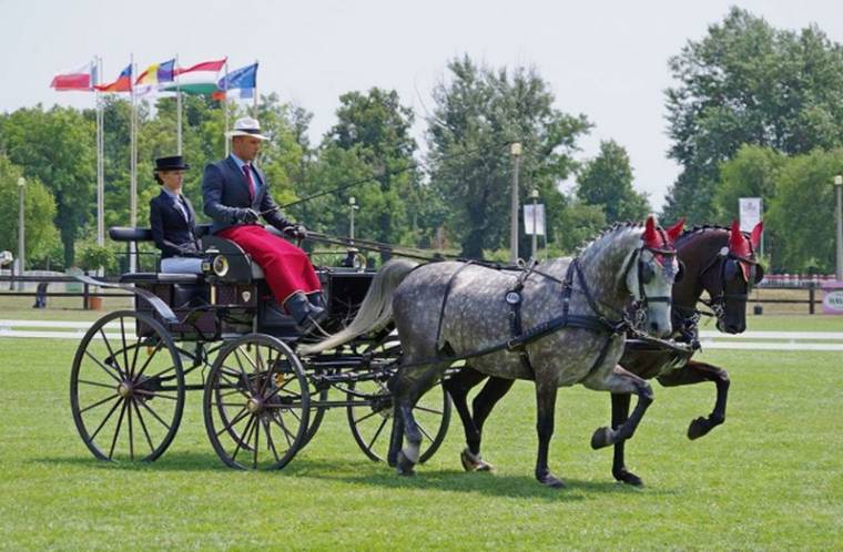Fogathajtó világbajnokságon indul Pál Attila