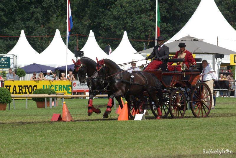 &bullet;  Fotó: Gergely Imre