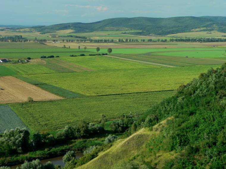 Előrelépés a tulajdonjog-visszaállítás terén