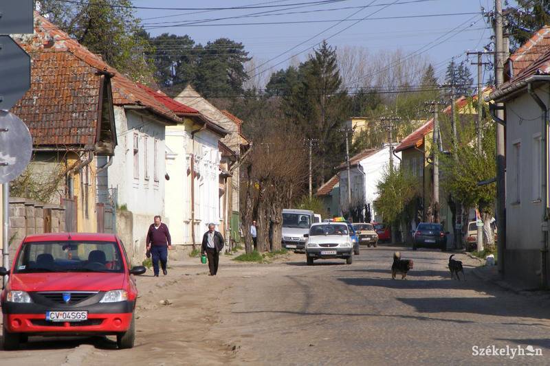 •  Fotó: Both Ildikó