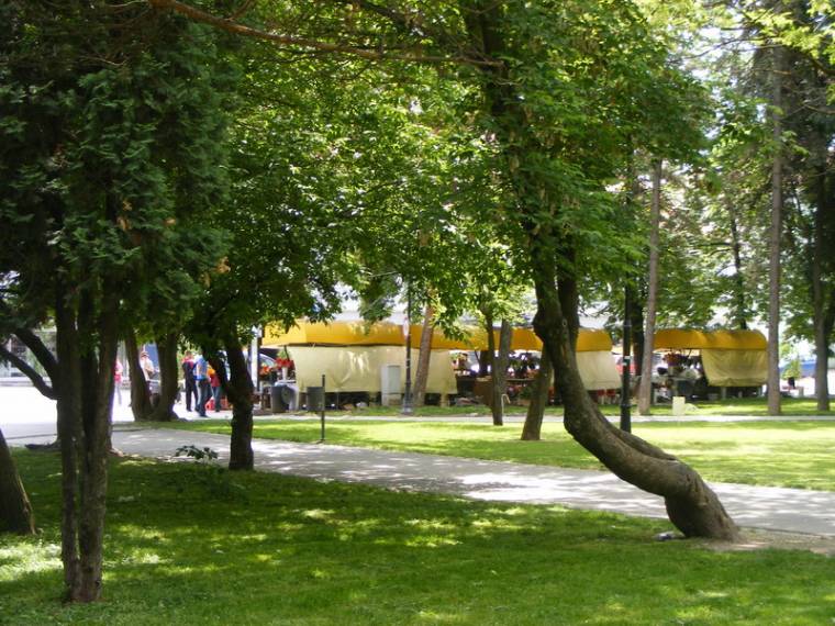 Szúnyogirtás Sepsiszentgyörgyön