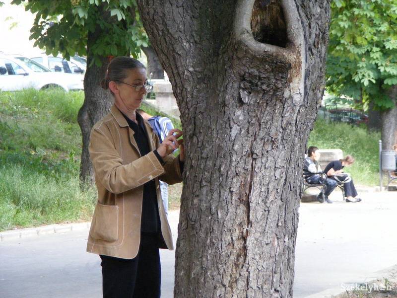•  Fotó: Both Ildikó