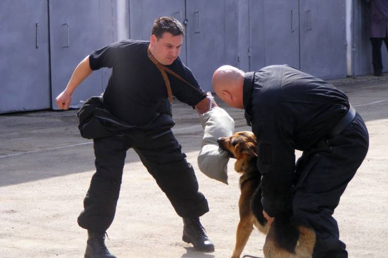 Gyerekrendőrök Háromszéken