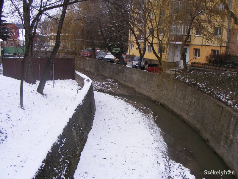 •  Fotó: Both Ildikó