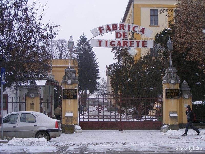 •  Fotó: Both Ildikó