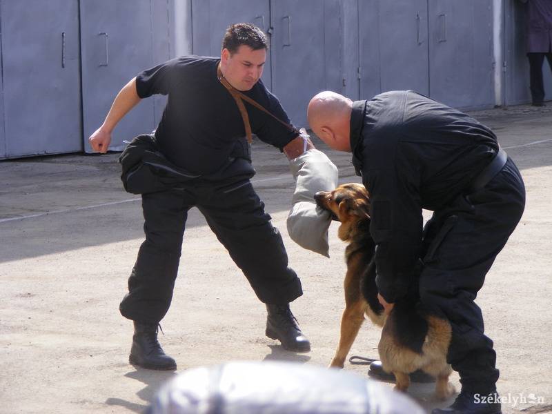 •  Fotó: Both Ildikó