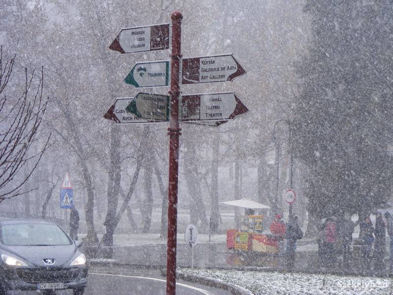 •  Fotó: Both Ildikó