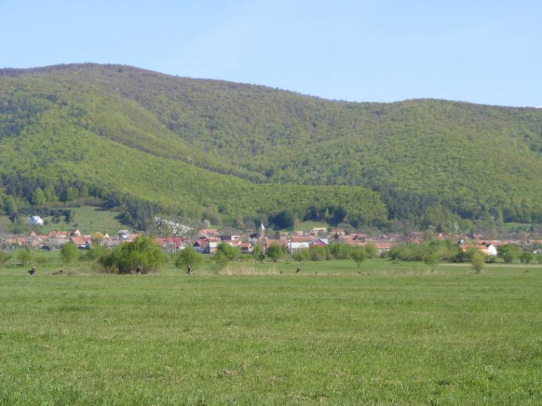 Általános mezőgazdasági összeírás