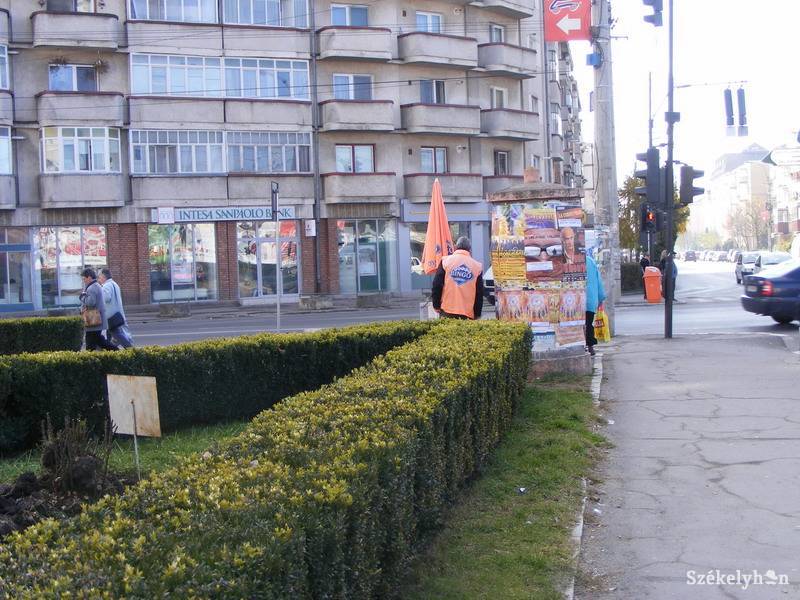 •  Fotó: Both Ildikó
