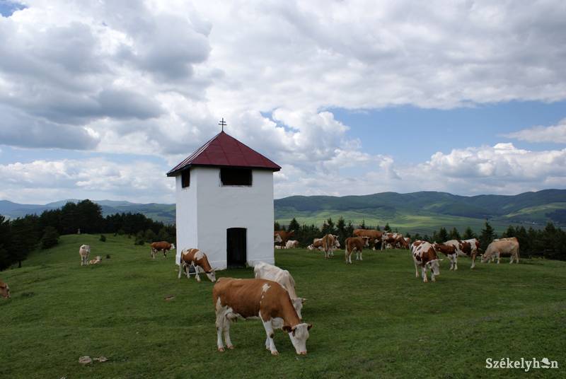 •  Fotó: Bartos Lóránt