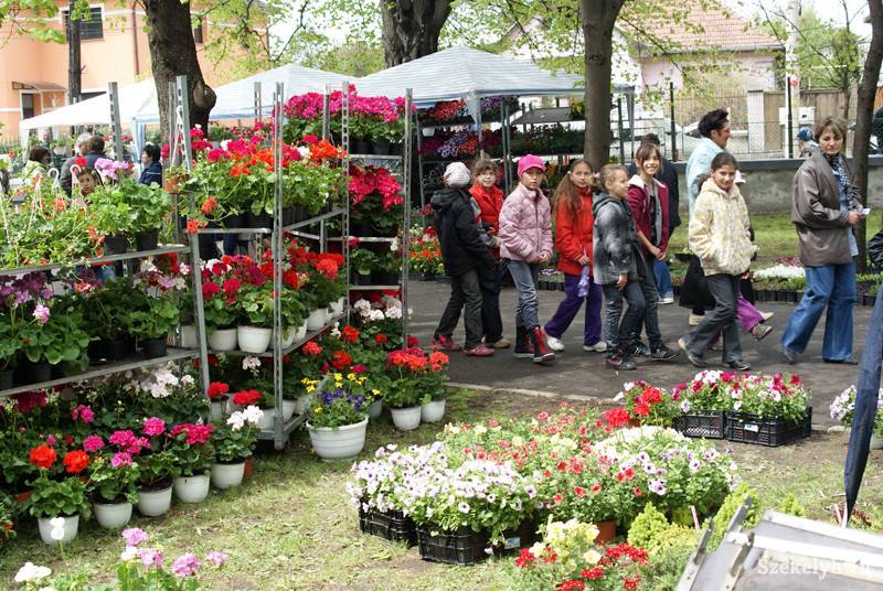 • Fotó: Bartos Lóránt