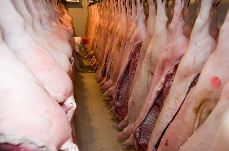 Hétszáz kilogramm húst foglaltak le