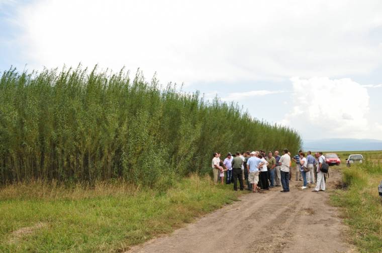 Még nincs megállapodás a biomassza-erőmű ügyében