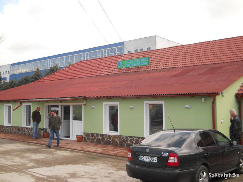 •  Fotó: Molnár-Székely Emőke