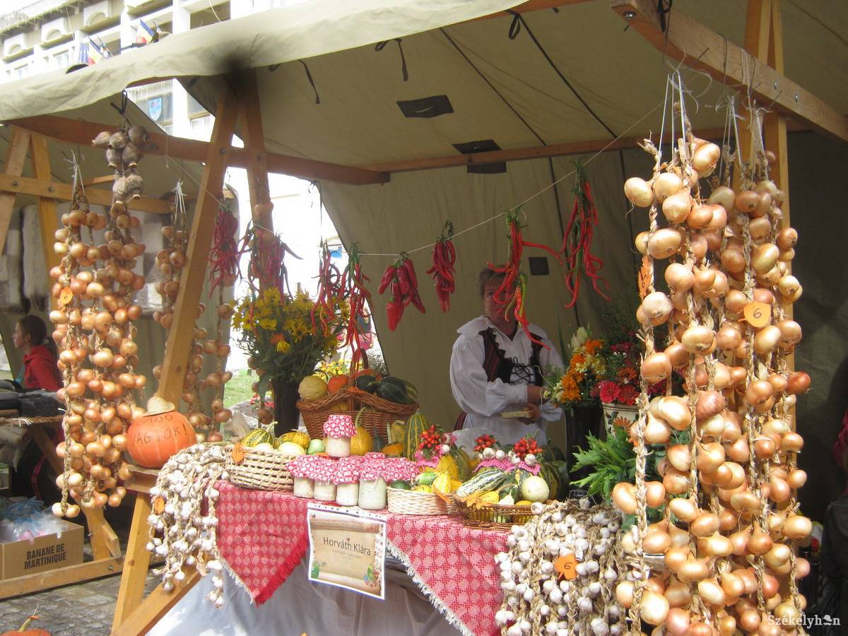 •  Fotó: Both Ildikó