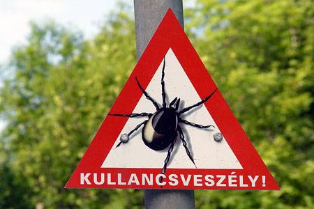 Kevesebb a kullancscsípés Háromszéken