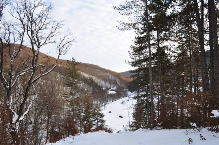 A Budvárra mennek az ekések