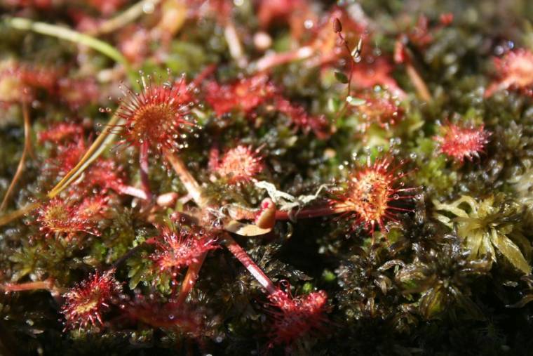 Továbbra is gondoskodhatnak a természetről