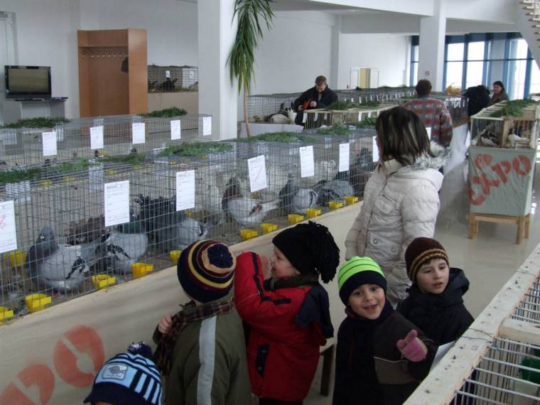 Székelyföldi kisállatexpó Kézdivásárhelyen