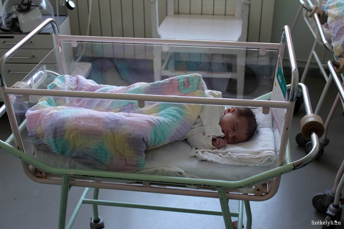 • Fotó: fotó: Bartos Lóránt