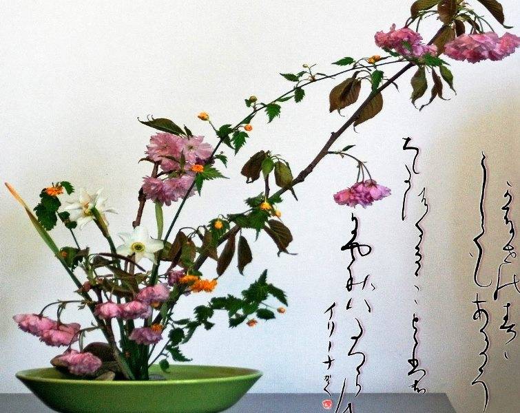 Japán nap Sepsiszentgyörgyön