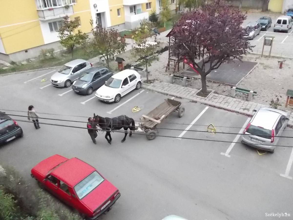 „Parkolás” szekérrel. Megszűnhet a város között • Fotó: Szabó Enikő