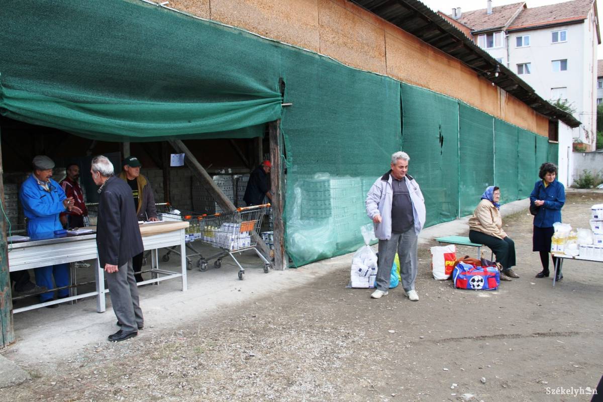 •  Fotó: Nagy D. István