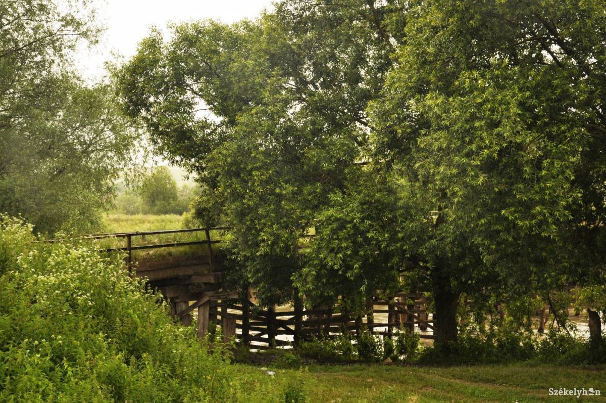 • Fotó: Nagy D. István