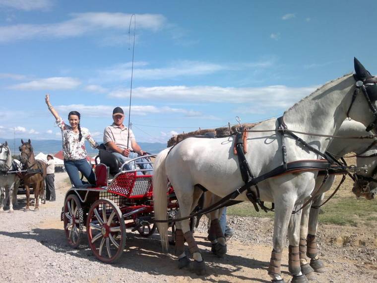 Pónifutam és hírességek fogathajtó versenye