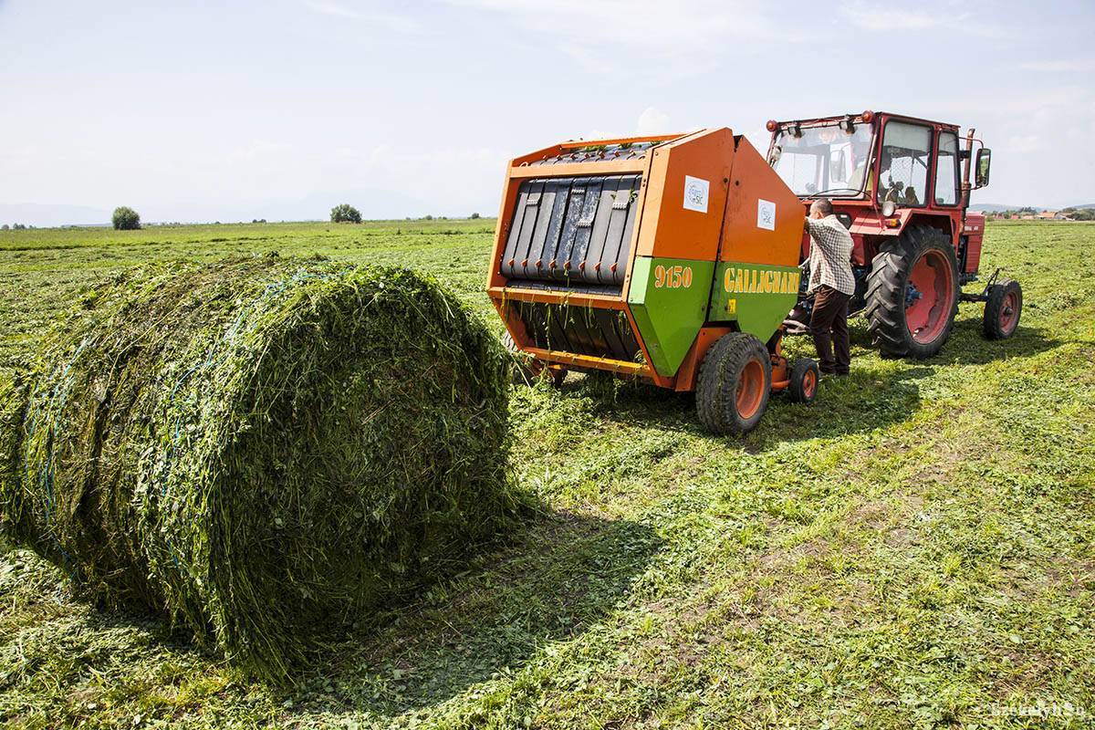 &bullet;  Fotó: fotó: Henning János