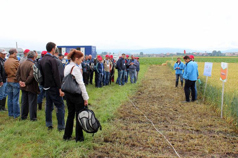 Mezőgazdasági aréna Kézdivásárhelyen