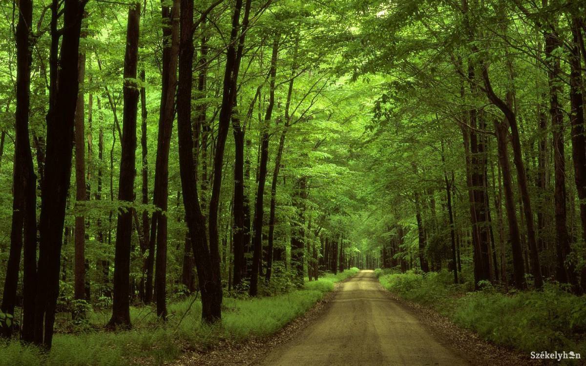 &bullet;  Fotó: illusztráció