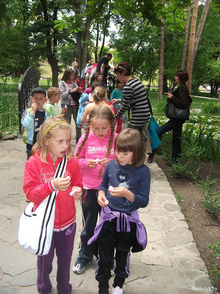 &bullet;  Fotó: fotó: Bartos Lóránt