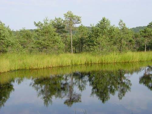 Bányatóba fulladt egy gyermek