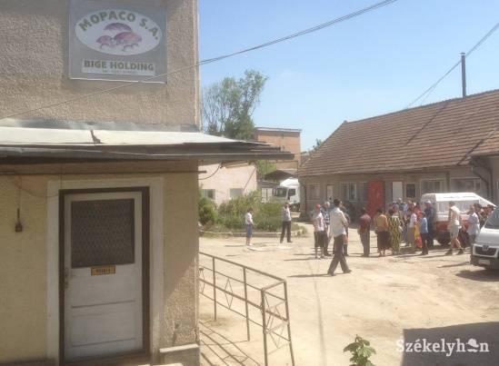 &bullet;  Fotó: Kovács Zsolt