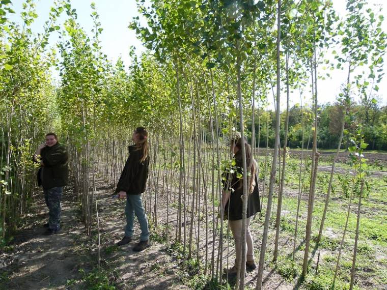 Kirándulásokat szerveznek a közösségi alapból